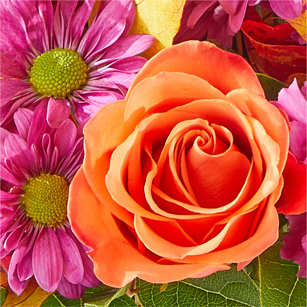 Mum's the Word Bouquet –  North Star Blooms, Roseville MN