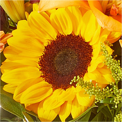 Seasons Change Bouquet –  North Star Blooms, Roseville MN