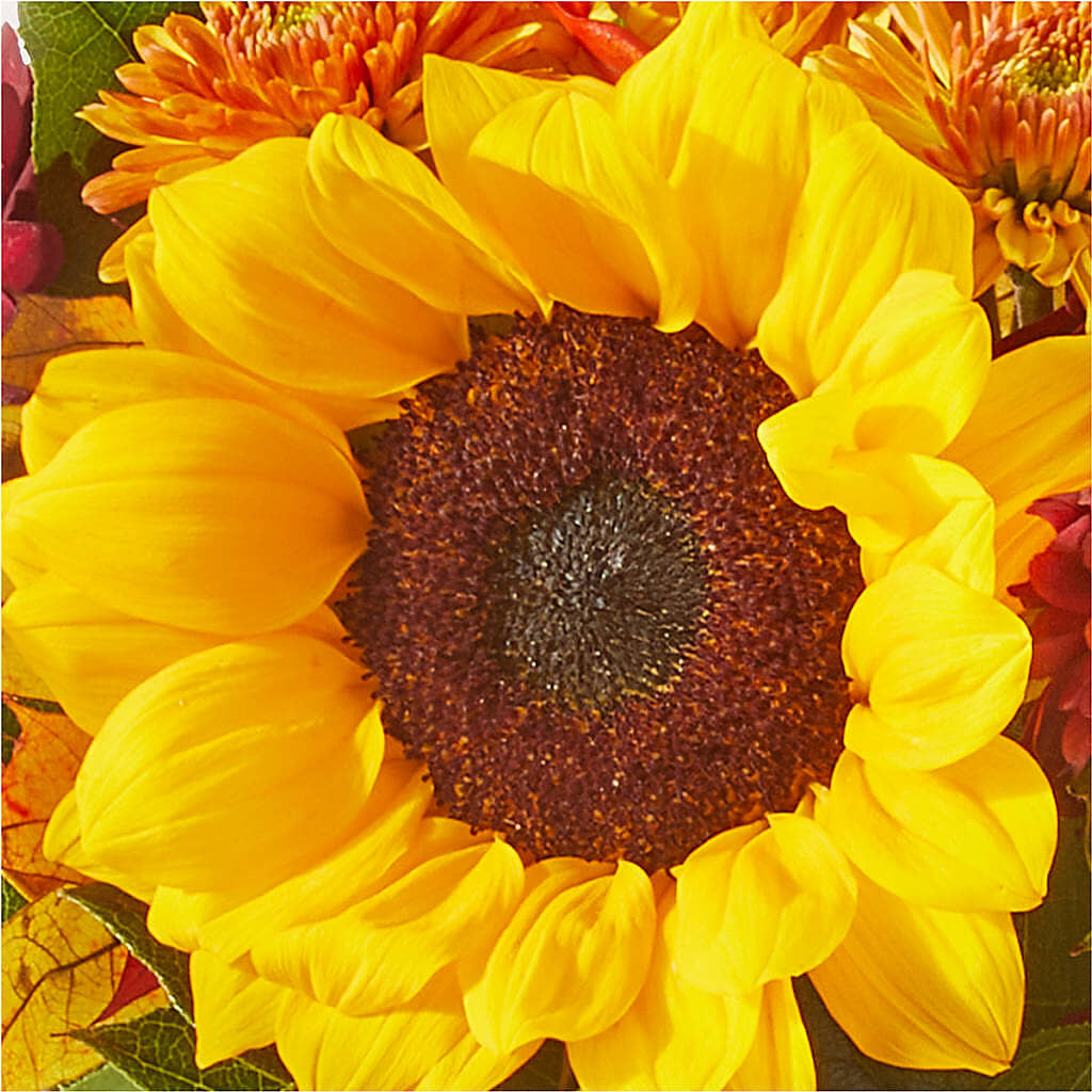 Sunny Side Bouquet –  North Star Blooms, Roseville MN