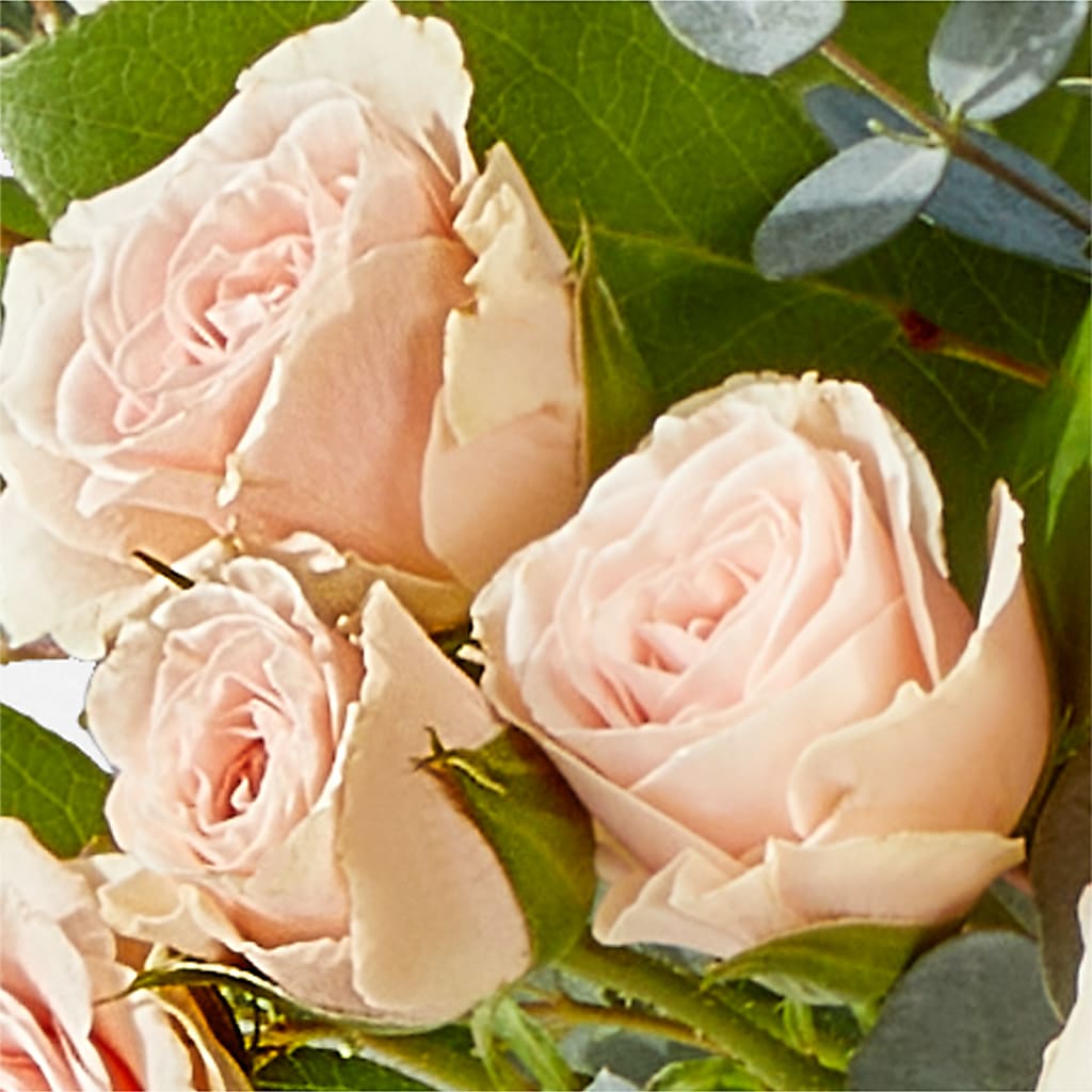 Inspired Bouquet –  North Star Blooms, Roseville MN