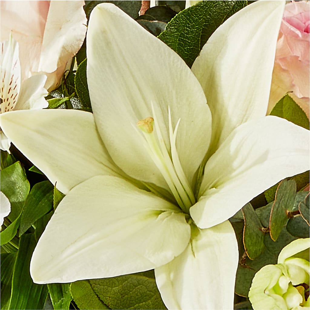 Ballet Slippers Bouquet –  North Star Blooms, Roseville MN