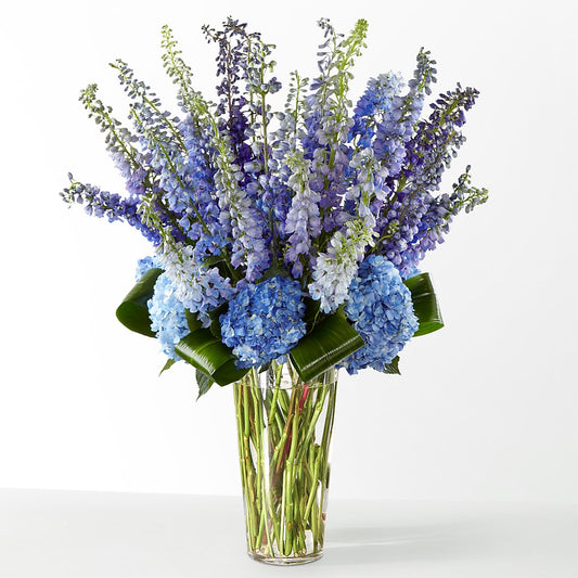 The Editorial –  North Star Blooms, Roseville MN