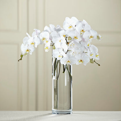 White Phalaenopsis Bouquet –  North Star Blooms, Roseville MN