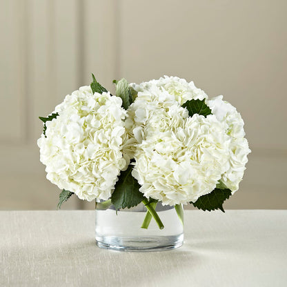 White Hydrangea Bouquet –  North Star Blooms, Roseville MN