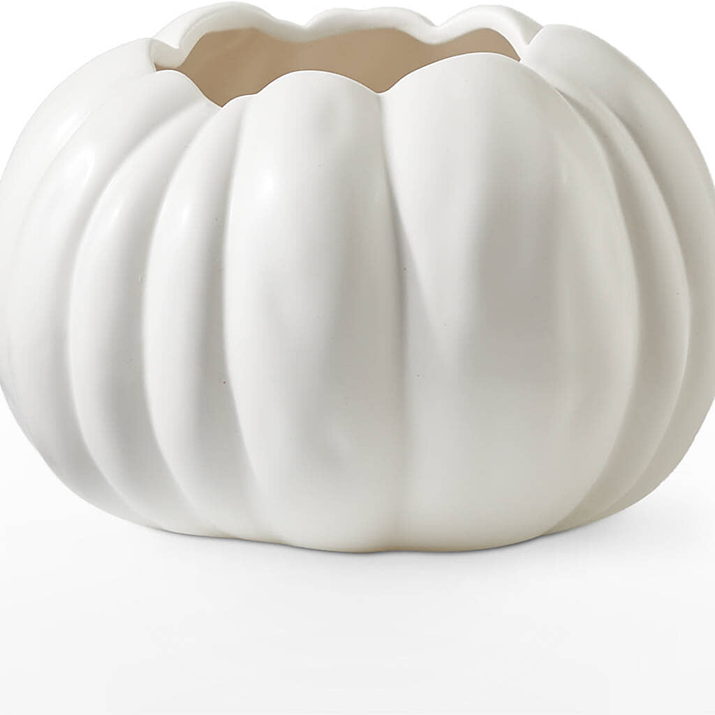 Autumn Air Pumpkin Bouquet –  North Star Blooms, Roseville MN