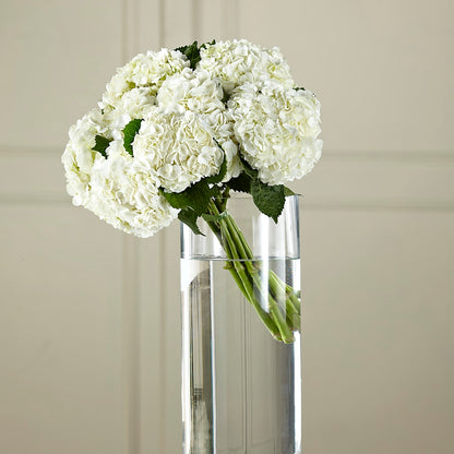 White Hydrangea Hand-Tied Bouquet –  North Star Blooms, Roseville MN
